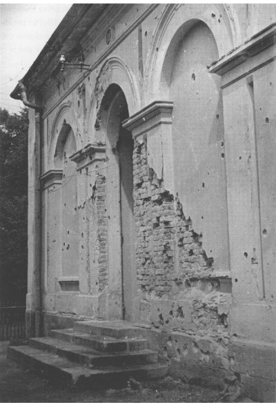 lazensky-dum