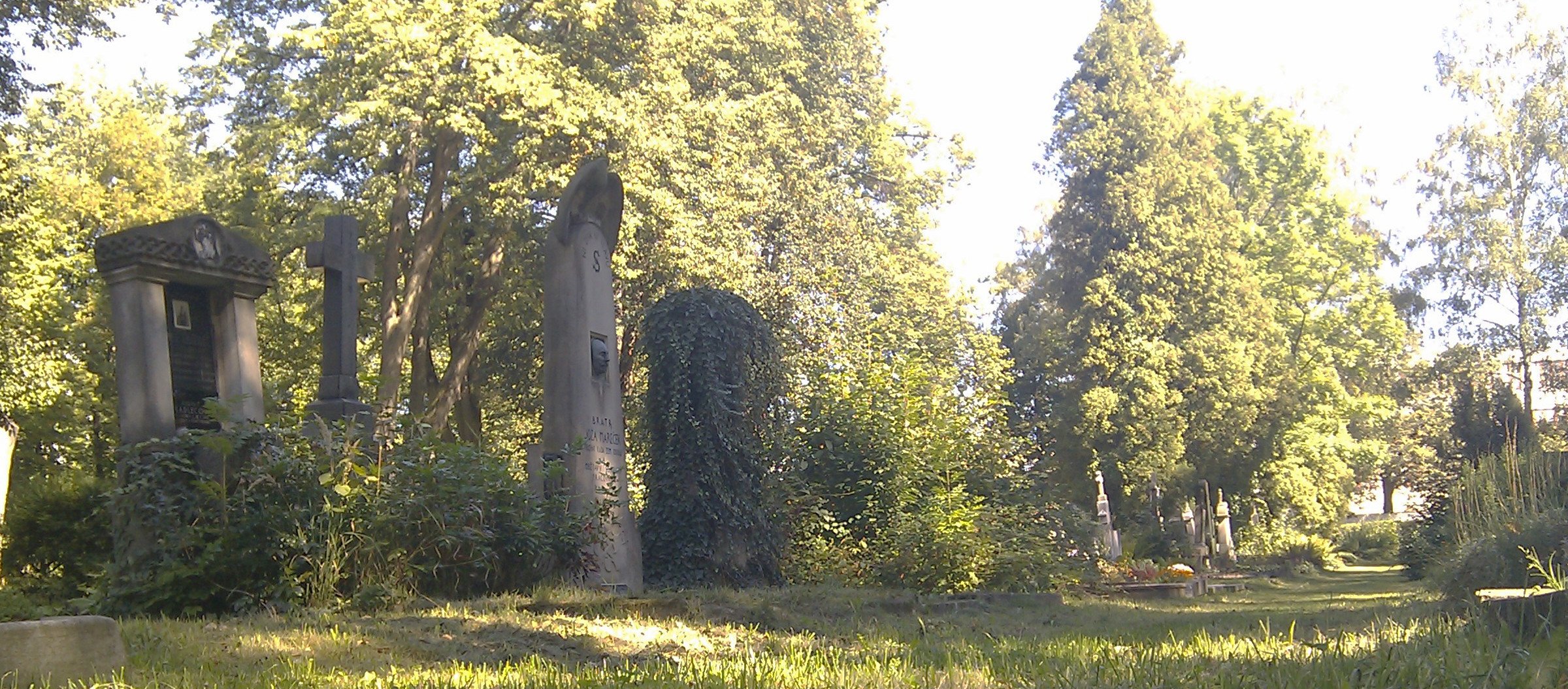 Hřbitov v létě