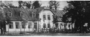rekovice